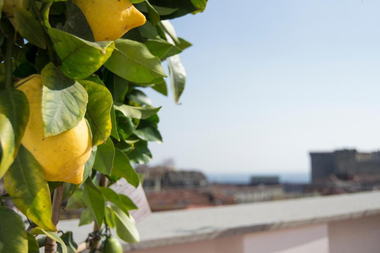 Panoramic Terrazza - Bed & Breakfast Napoli